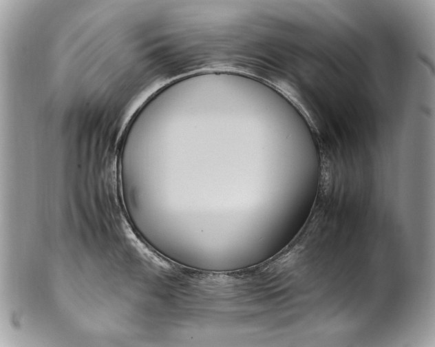 X0000100861100200807070927