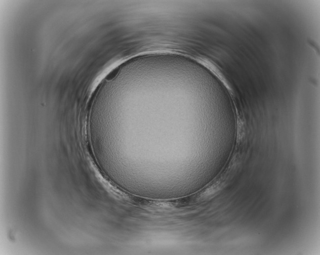 X0000100861101200807070927