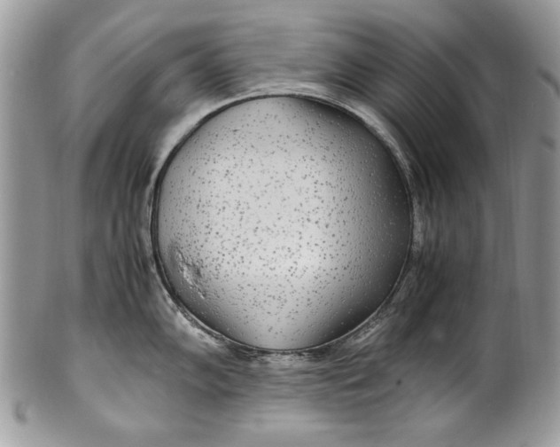 X0000100861102200807070927