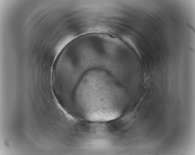 X0000100861103200807070927