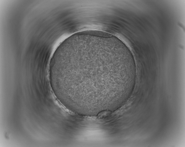 X0000100861104200807070927