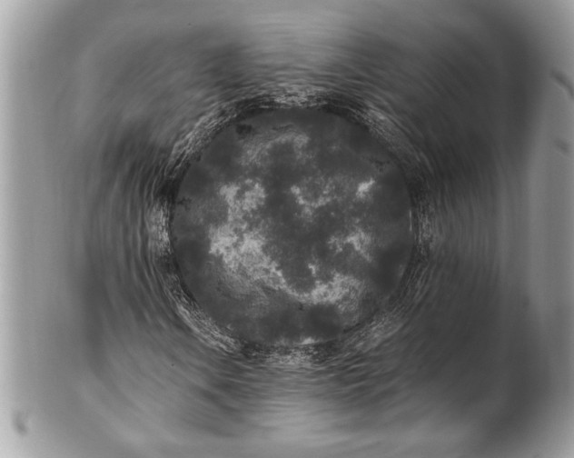 X0000100861106200807070927