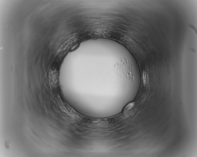 X0000100861107200807070927