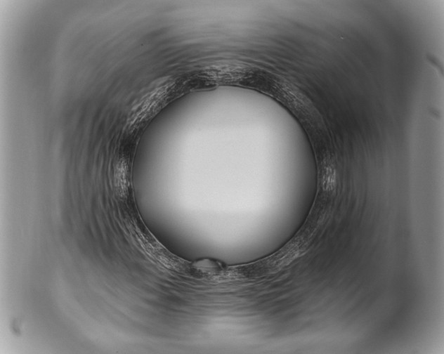 X0000100861108200807070927