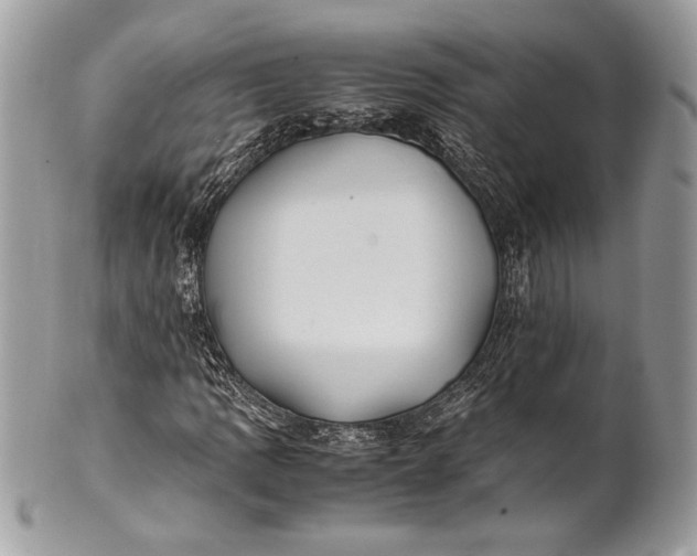 X0000100861109200807070927