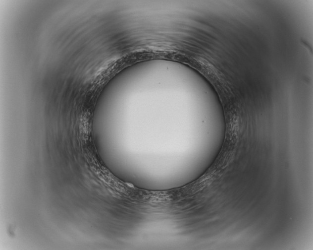 X0000100861110200807070927