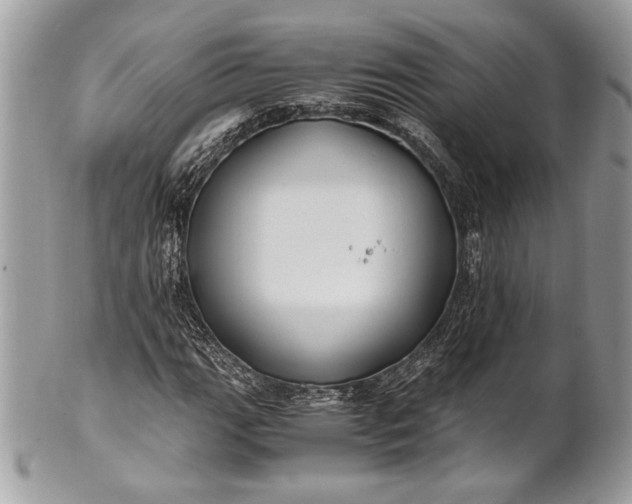 X0000100861111200807070927