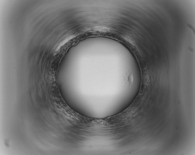 X0000100861112200807070927