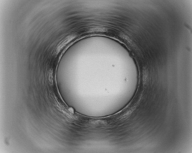 X0000100861113200807070927