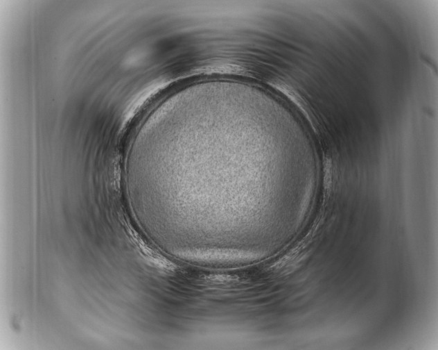 X0000100861115200807070927