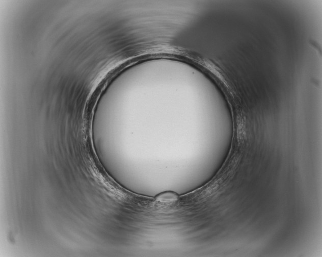 X0000100861116200807070927