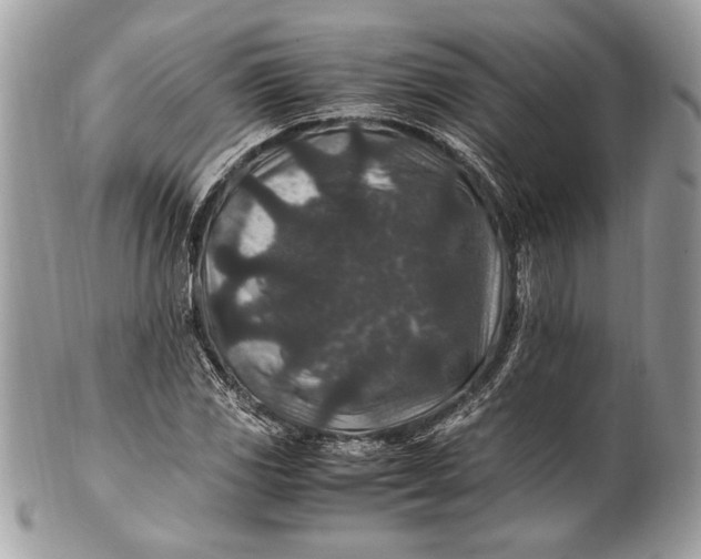 X0000100861117200807070927