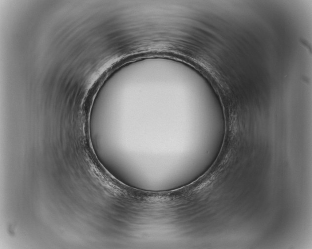 X0000100861118200807070927