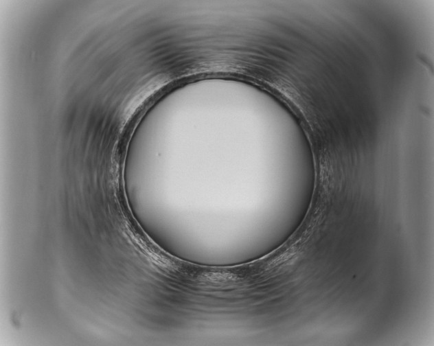 X0000100861119200807070927