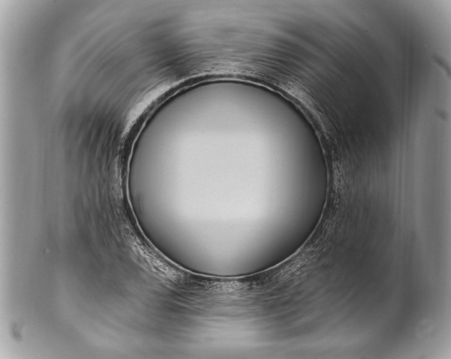 X0000100861120200807070927