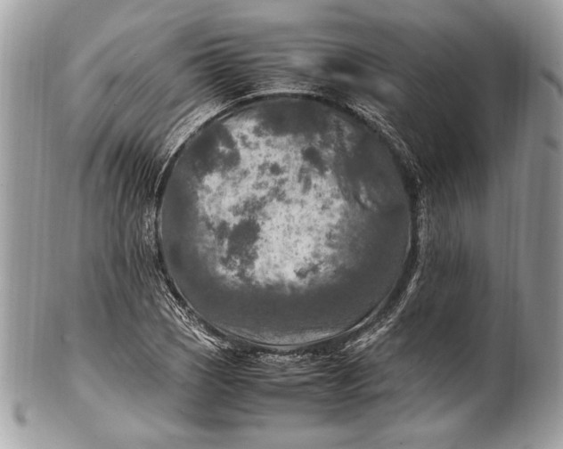 X0000100861121200807070927