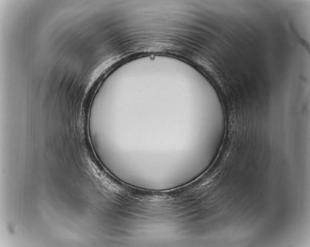 X0000100861122200807070927