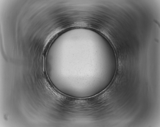 X0000100861123200807070927