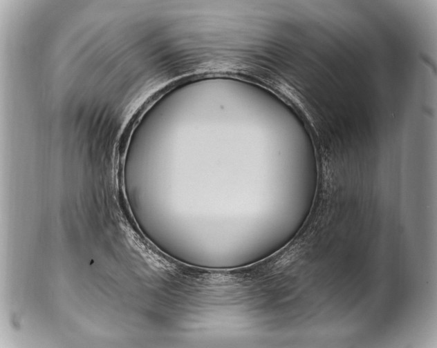 X0000100861124200807070927