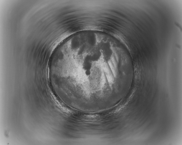 X0000100861125200807070927