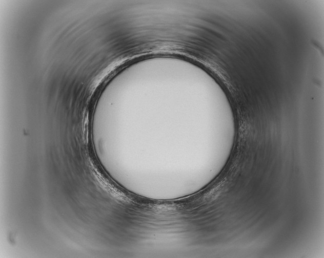 X0000100861126200807070927