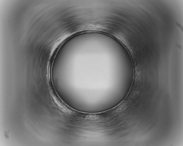 X0000100861128200807070927