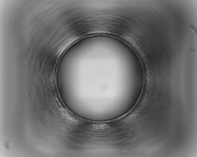 X0000100861129200807070927