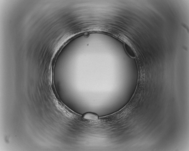 X0000100861132200807070927