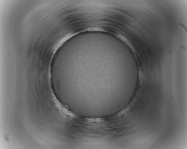 X0000100861133200807070927