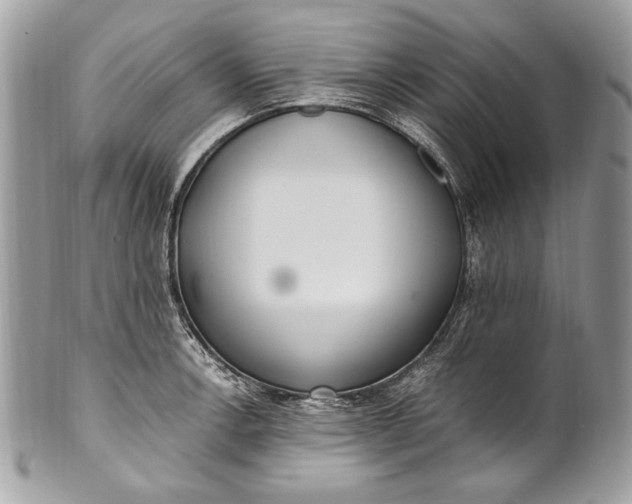 X0000100861138200807070927