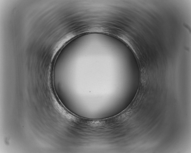 X0000100861139200807070927