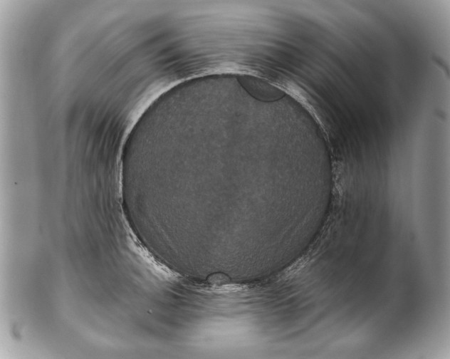 X0000100861140200807070927