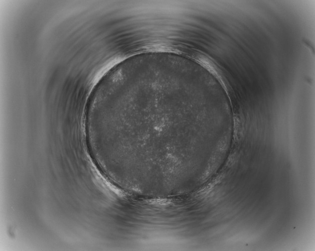 X0000100861141200807070927