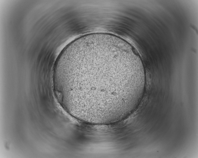 X0000100861142200807070927