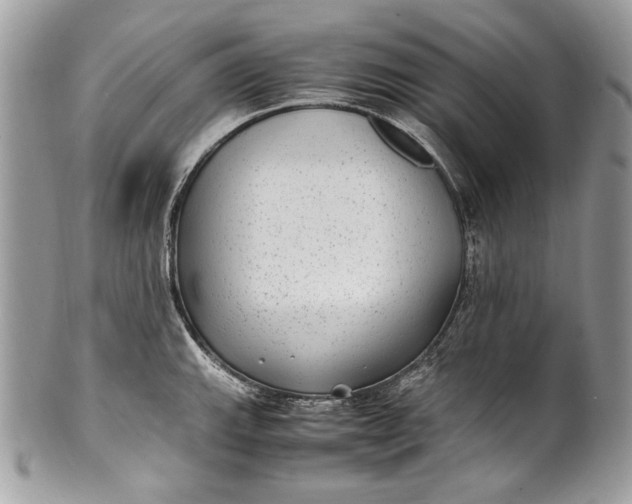 X0000100861143200807070927