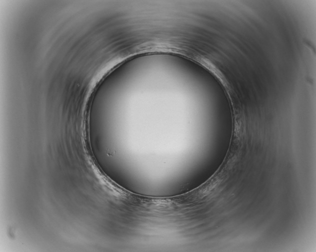 X0000100861144200807070927