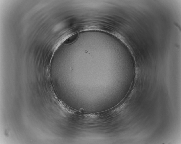 X0000100861145200807070927