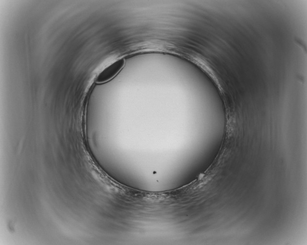 X0000100861146200807070927