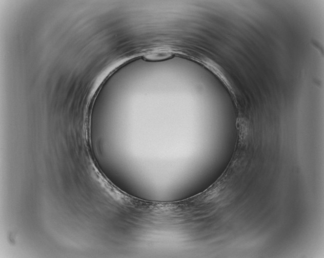 X0000100861148200807070927