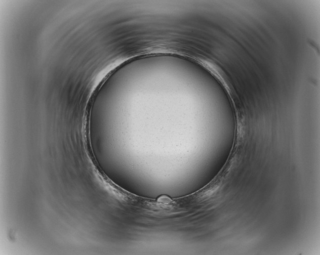 X0000100861149200807070927