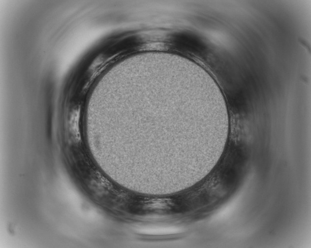 X0000100861150200807070927