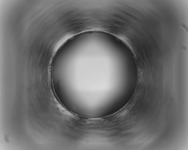 X0000100861151200807070927