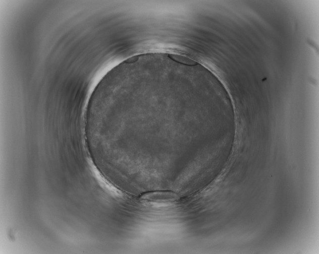 X0000100861152200807070927