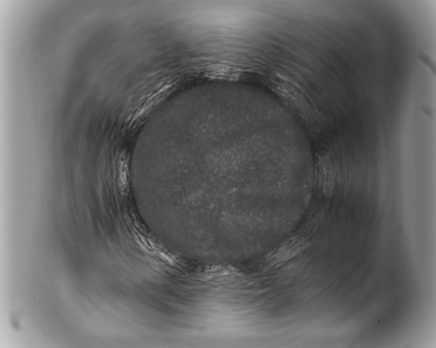 X0000100861154200807070927