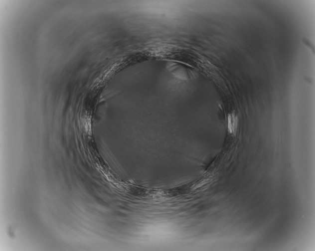 X0000100861155200807070927