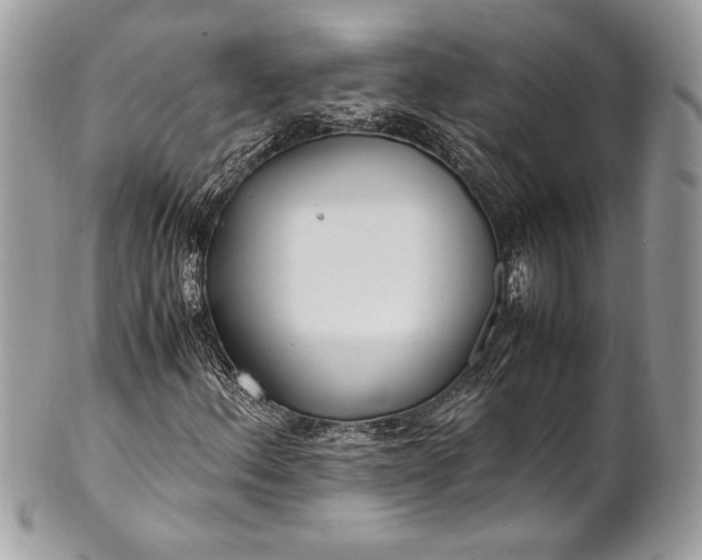 X0000100861156200807070927