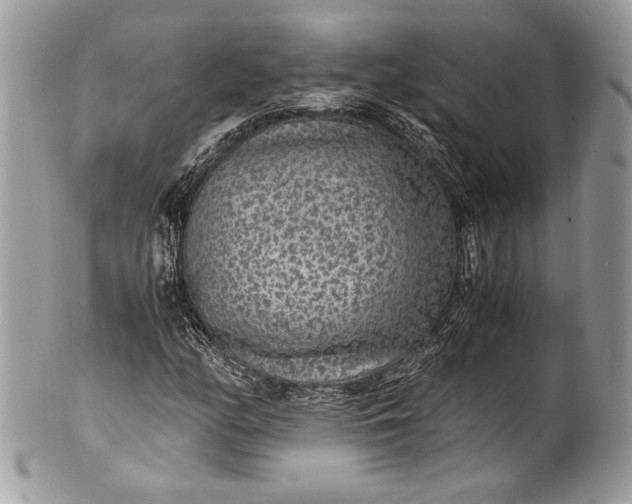 X0000100861158200807070927