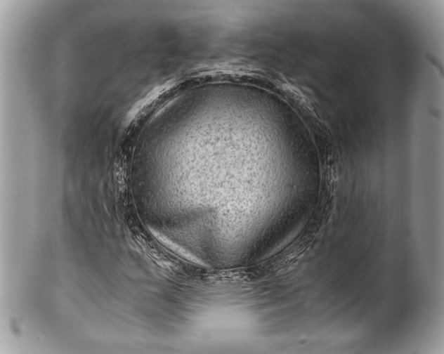 X0000100861159200807070927