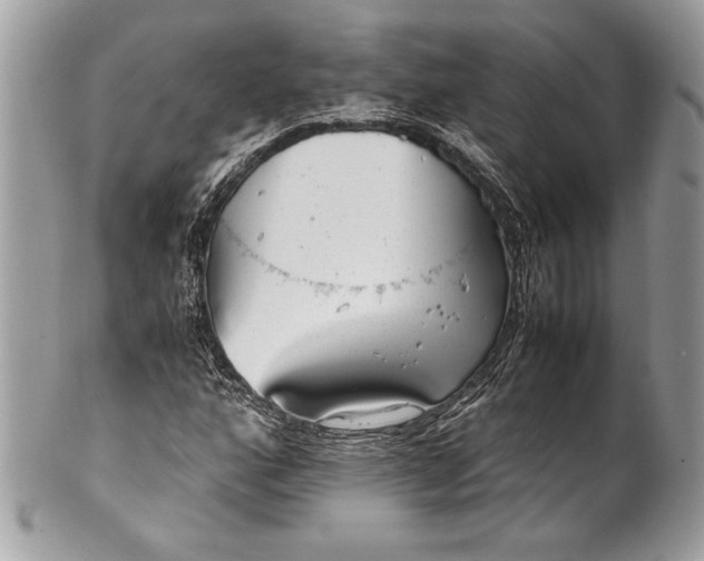 X0000100861160200807070927