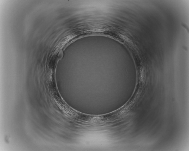 X0000100861161200807070927